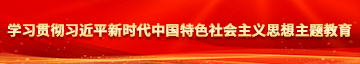 美国日逼网站学习贯彻习近平新时代中国特色社会主义思想主题教育