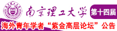 欧美鸡巴插视频南京理工大学第十四届海外青年学者紫金论坛诚邀海内外英才！